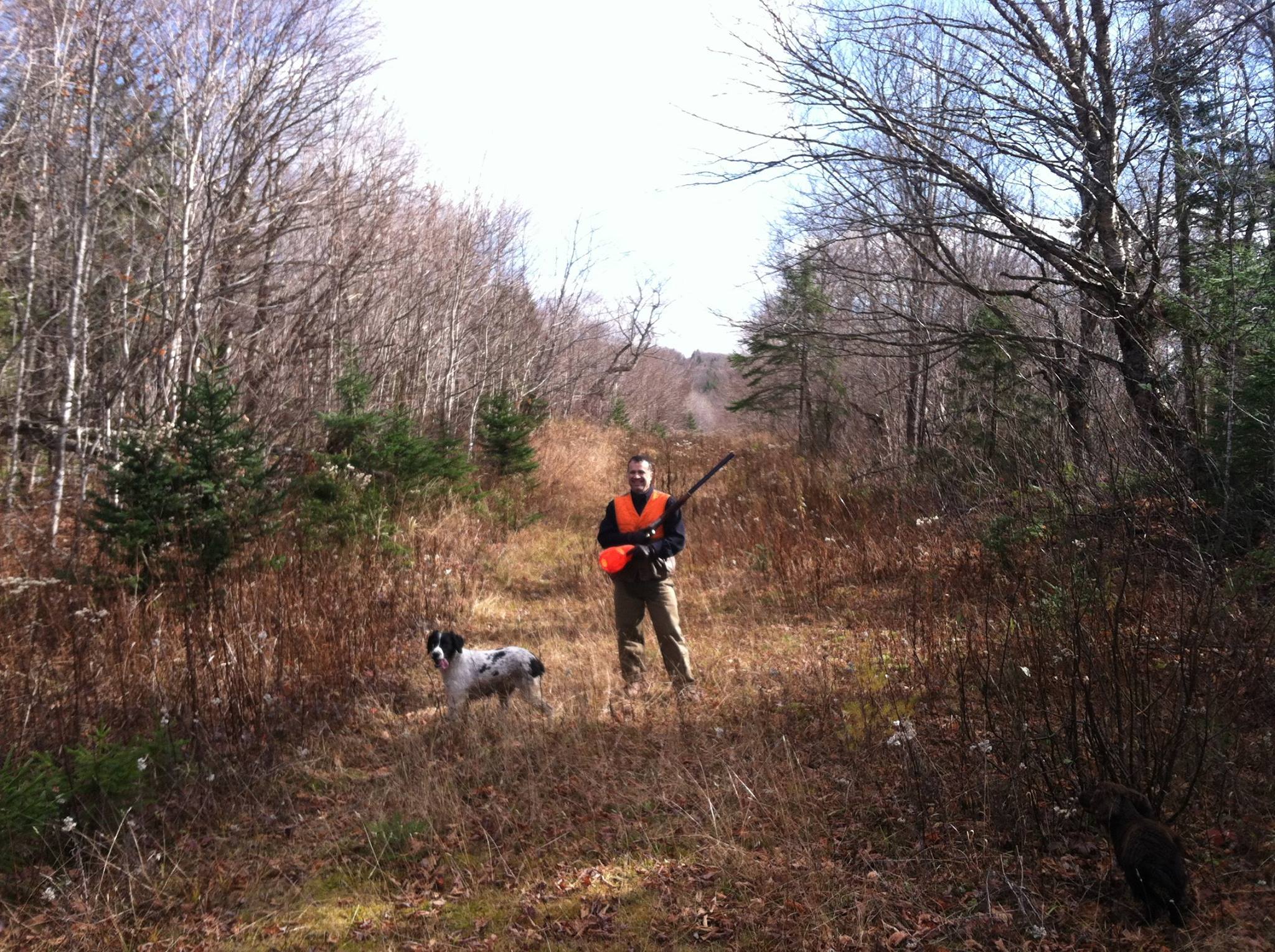 fall grouse hunting in Maine