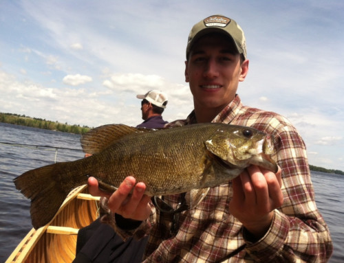 Catch Big Bass in Summer time in Maine