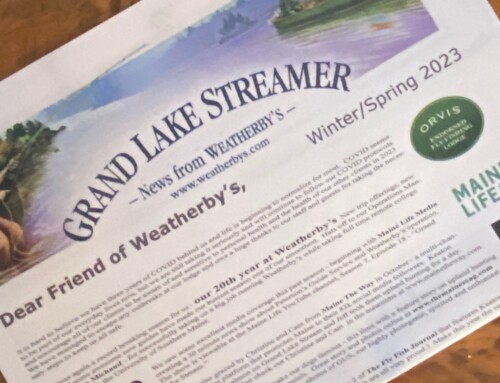 Grand Lake Streamer Winter/Spring 2023